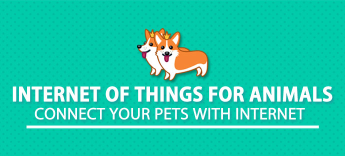 Internet of Things for Animals