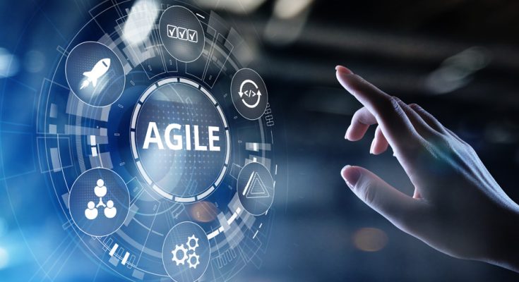 A guide for the process of hiring a good agile software development team, its structure and the roles and responsibilities of each member.
